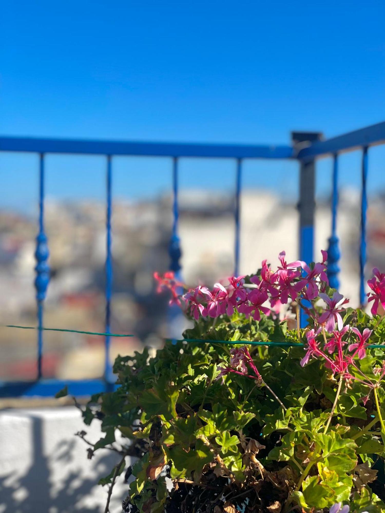 Ibn Batouta House طنجة المظهر الخارجي الصورة